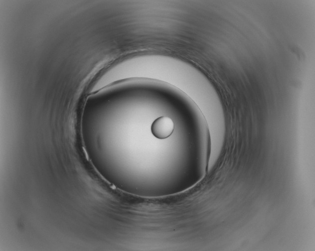 X0000113610300200910091547