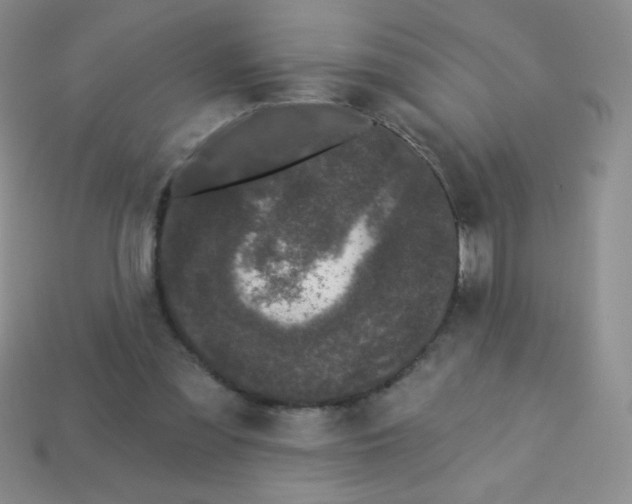 X0000113610301200910091547