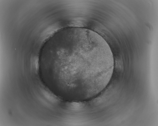 X0000113610302200910091547