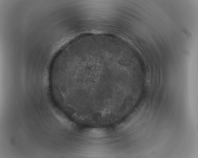 X0000113610303200910091547