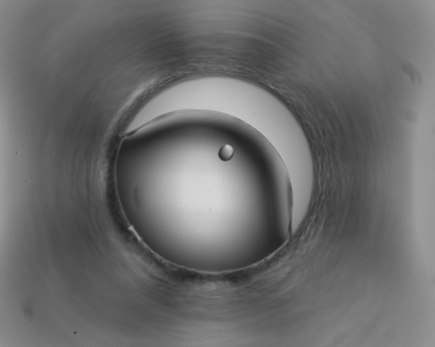 X0000113610304200910091547