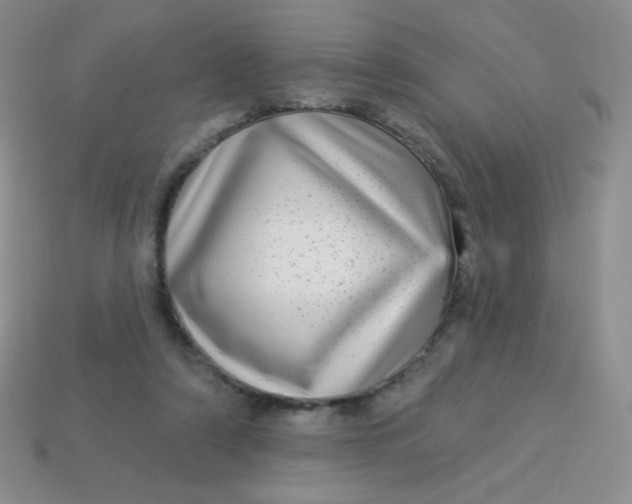 X0000113610306200910091547