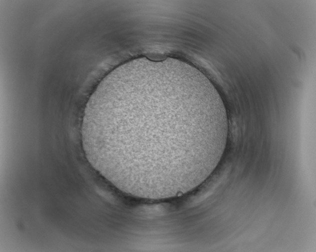 X0000113610307200910091547