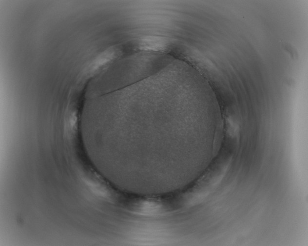 X0000113610308200910091547