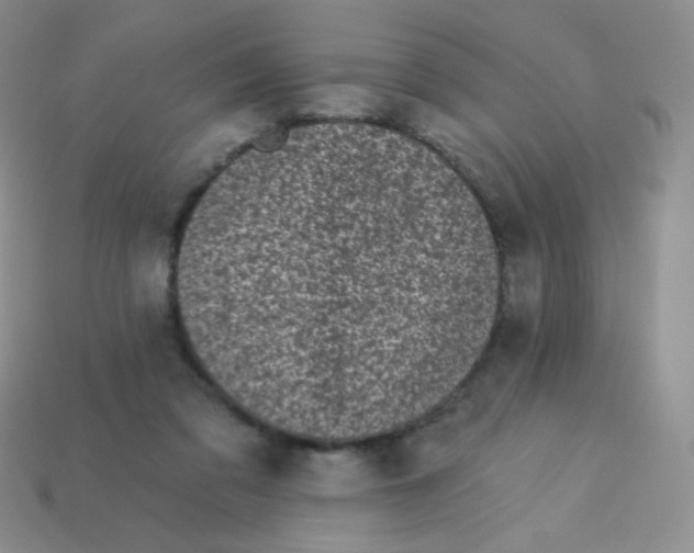 X0000113610309200910091547