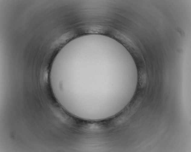 X0000113610310200910091547