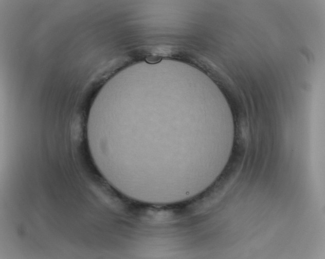 X0000113610311200910091547