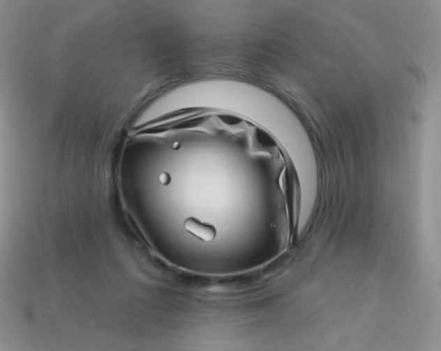 X0000113610312200910091547