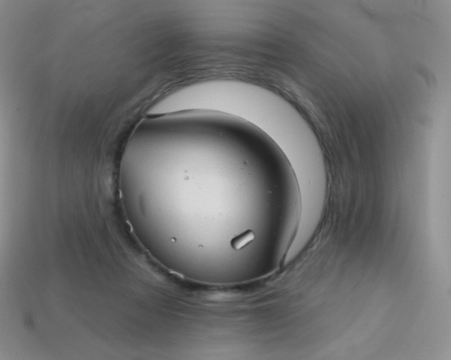 X0000113610313200910091547