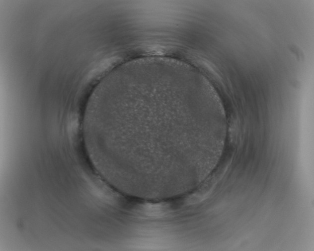 X0000113610314200910091547