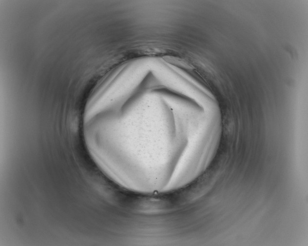 X0000113610315200910091547