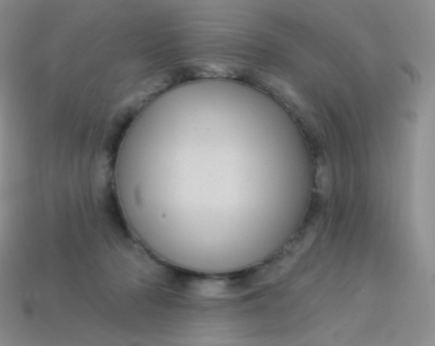 X0000113610318200910091547