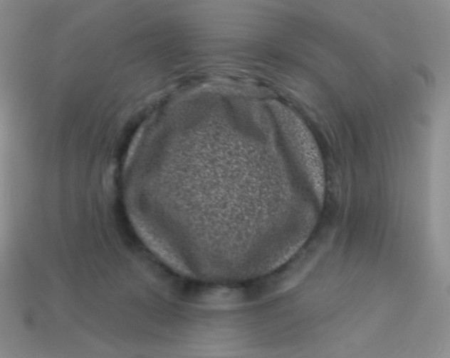 X0000113610319200910091547