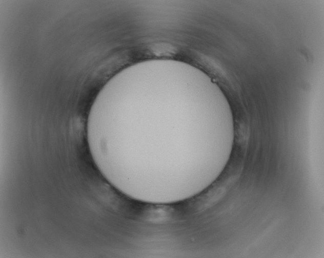 X0000113610321200910091547