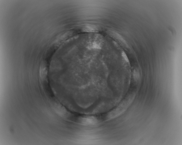 X0000113610322200910091547