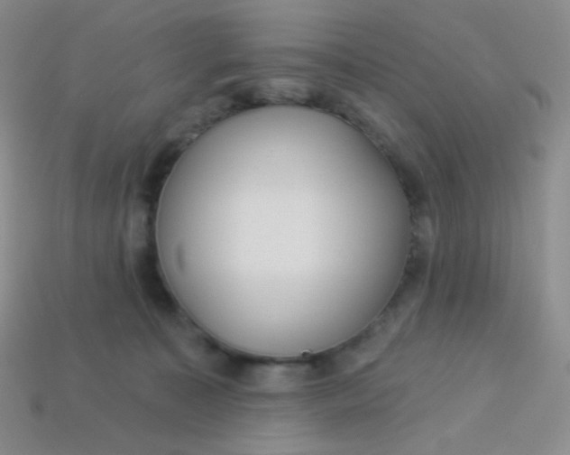 X0000113610323200910091547