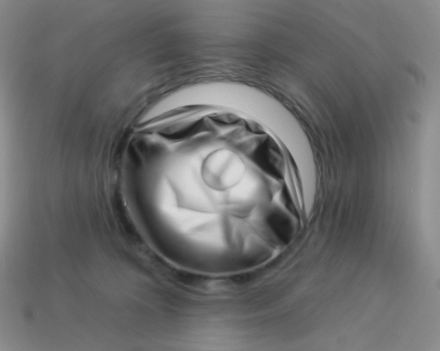 X0000113610324200910091547