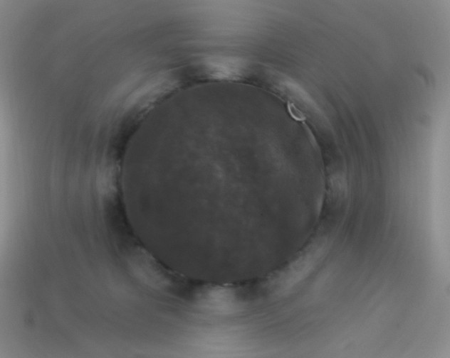 X0000113610325200910091547