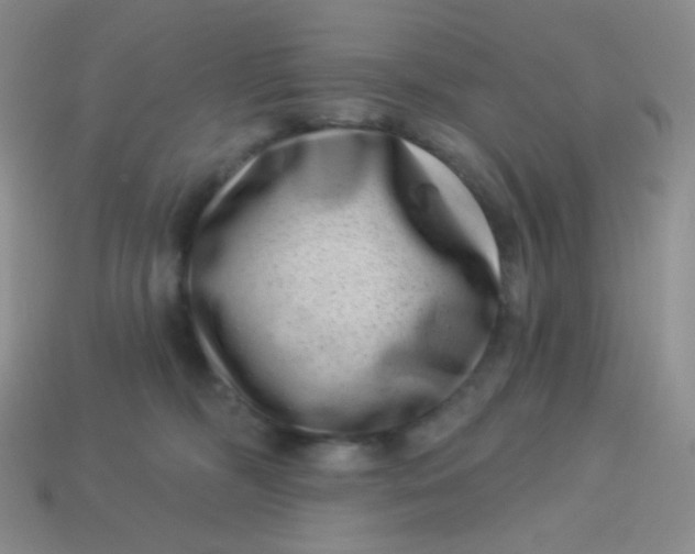 X0000113610326200910091547