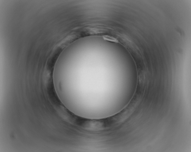 X0000113610327200910091547