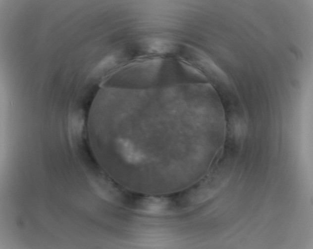 X0000113610328200910091547