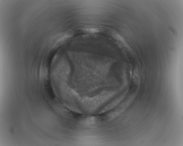 X0000113610330200910091547