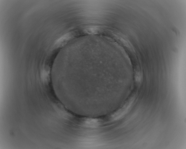 X0000113610332200910091547