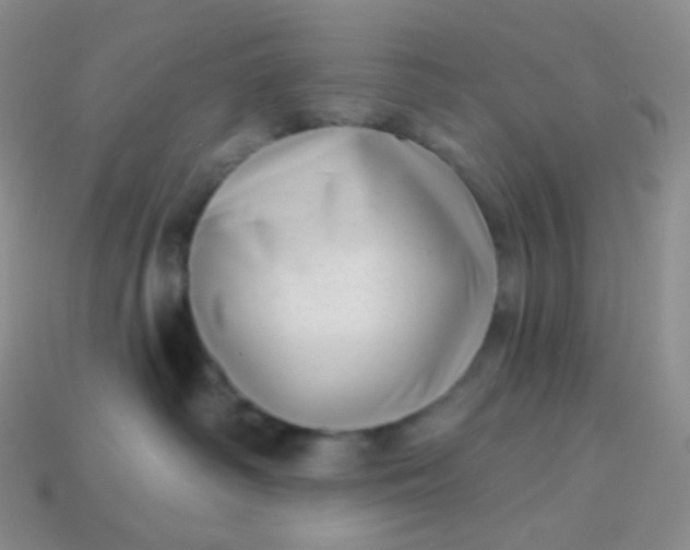 X0000113610334200910091547