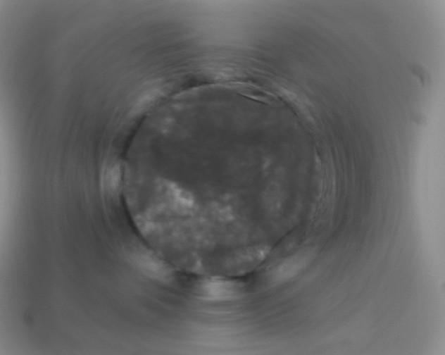 X0000113610336200910091547