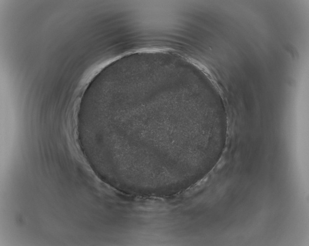 X0000113610337200910091546