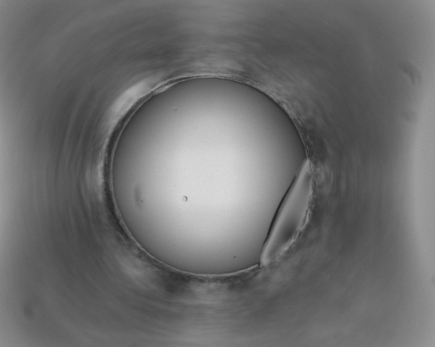 X0000113610340200910091546