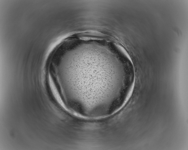 X0000113610342200910091546