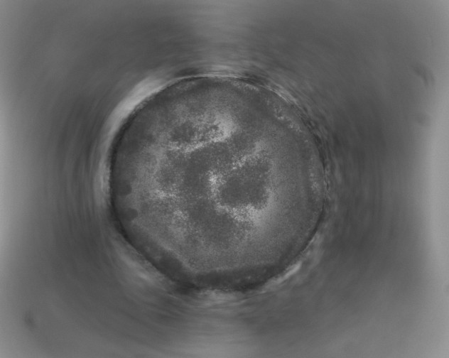 X0000113610343200910091546