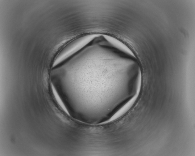 X0000113610345200910091546