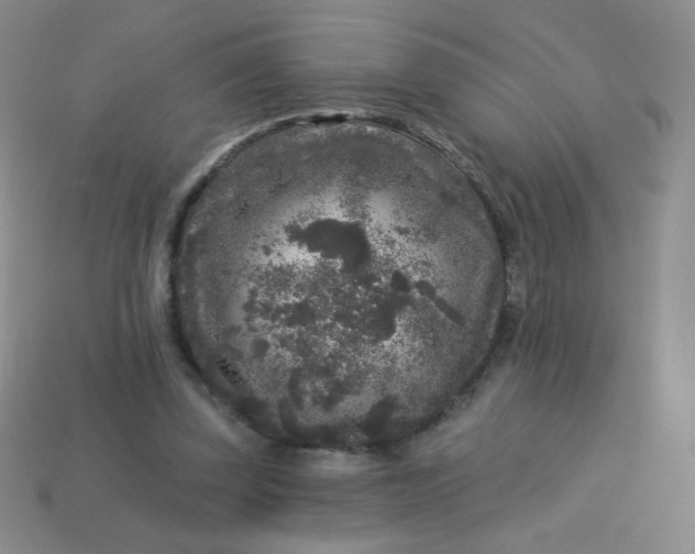 X0000113610347200910091546