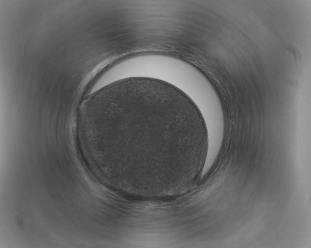 X0000113610348200910091546