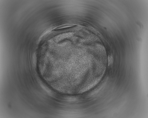 X0000113610349200910091546