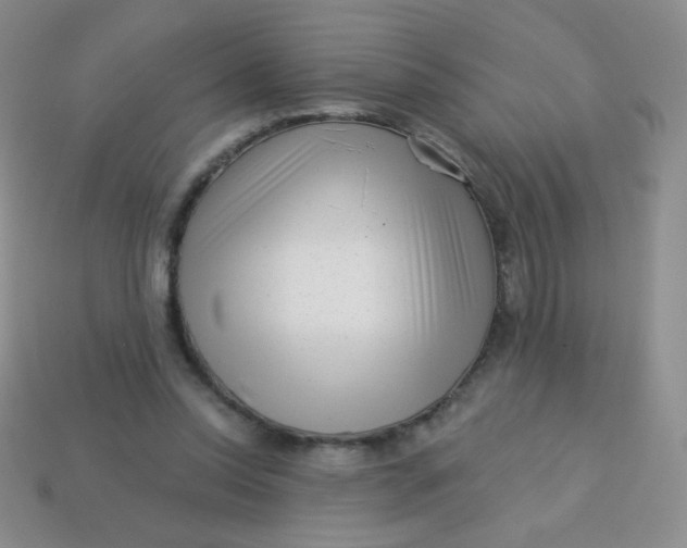 X0000113610350200910091546