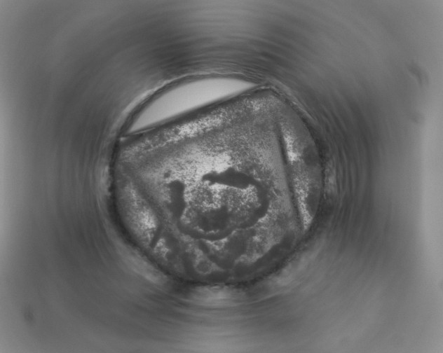 X0000113610351200910091546