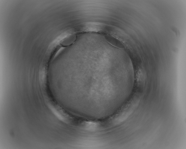 X0000113610352200910091546