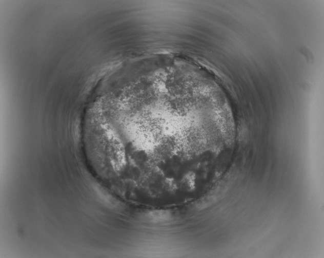 X0000113610353200910091546