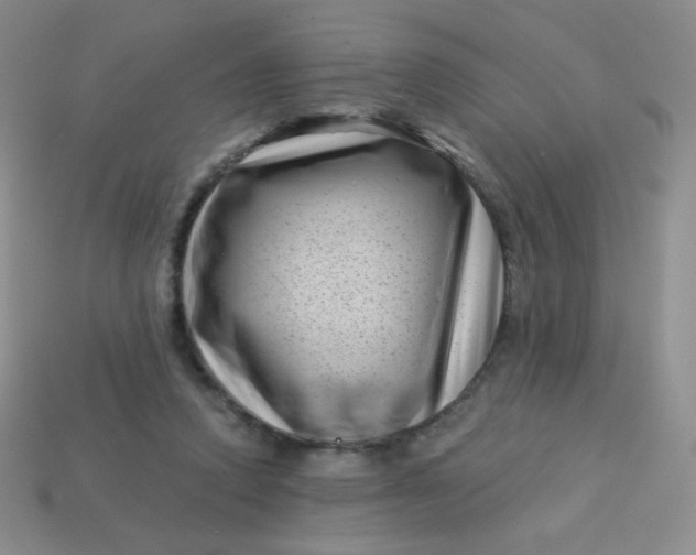 X0000113610354200910091546