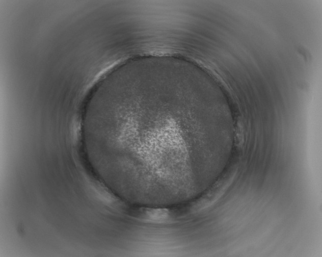 X0000113610355200910091546