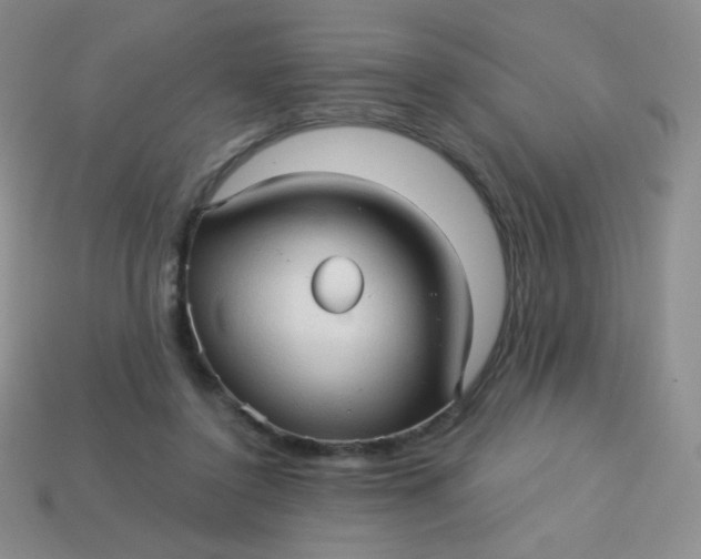 X0000113610356200910091546