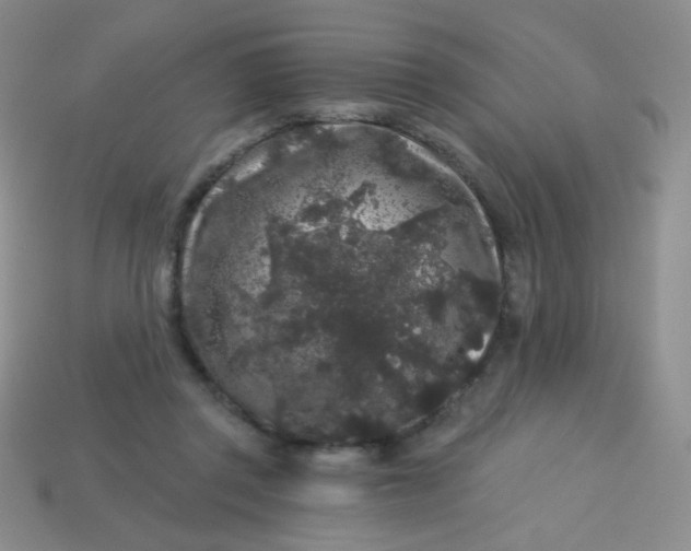 X0000113610357200910091546