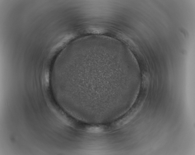 X0000113610358200910091546