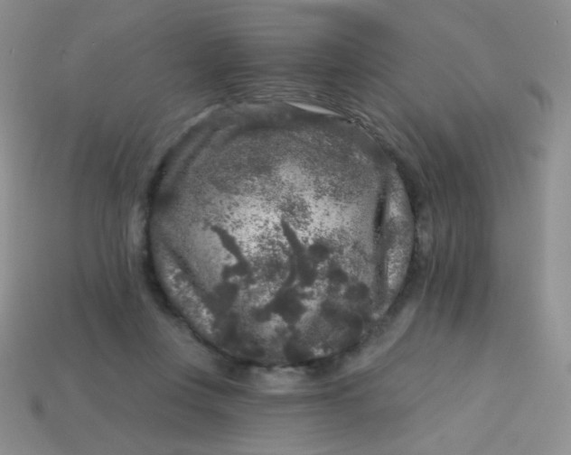 X0000113610359200910091546