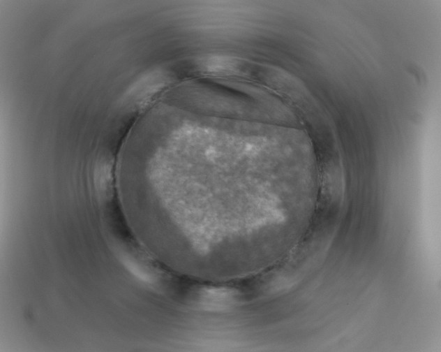 X0000113610360200910091546