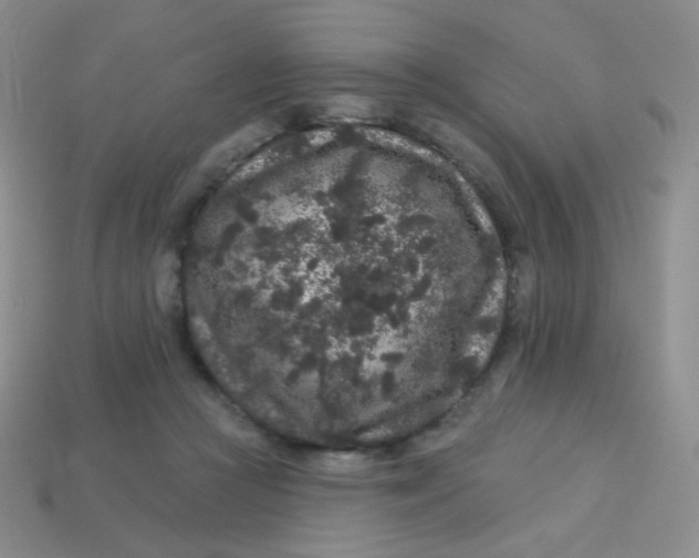 X0000113610361200910091546