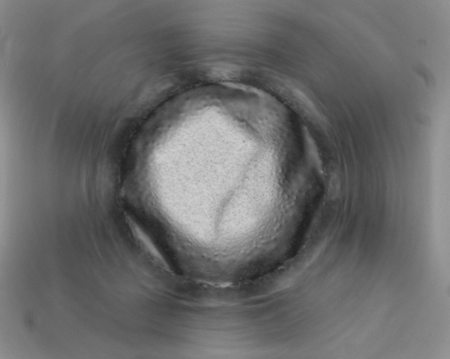 X0000113610363200910091546